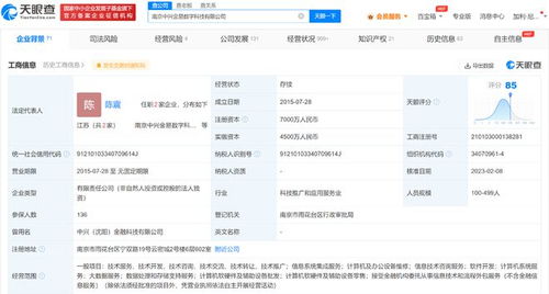 中興金易數(shù)科注冊(cè)資本增至7000萬(wàn)，聚焦數(shù)據(jù)處理與存儲(chǔ)支持服務(wù)新布局